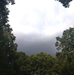 Meet your Posher, Shemila